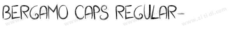 Bergamo Caps Regular字体转换